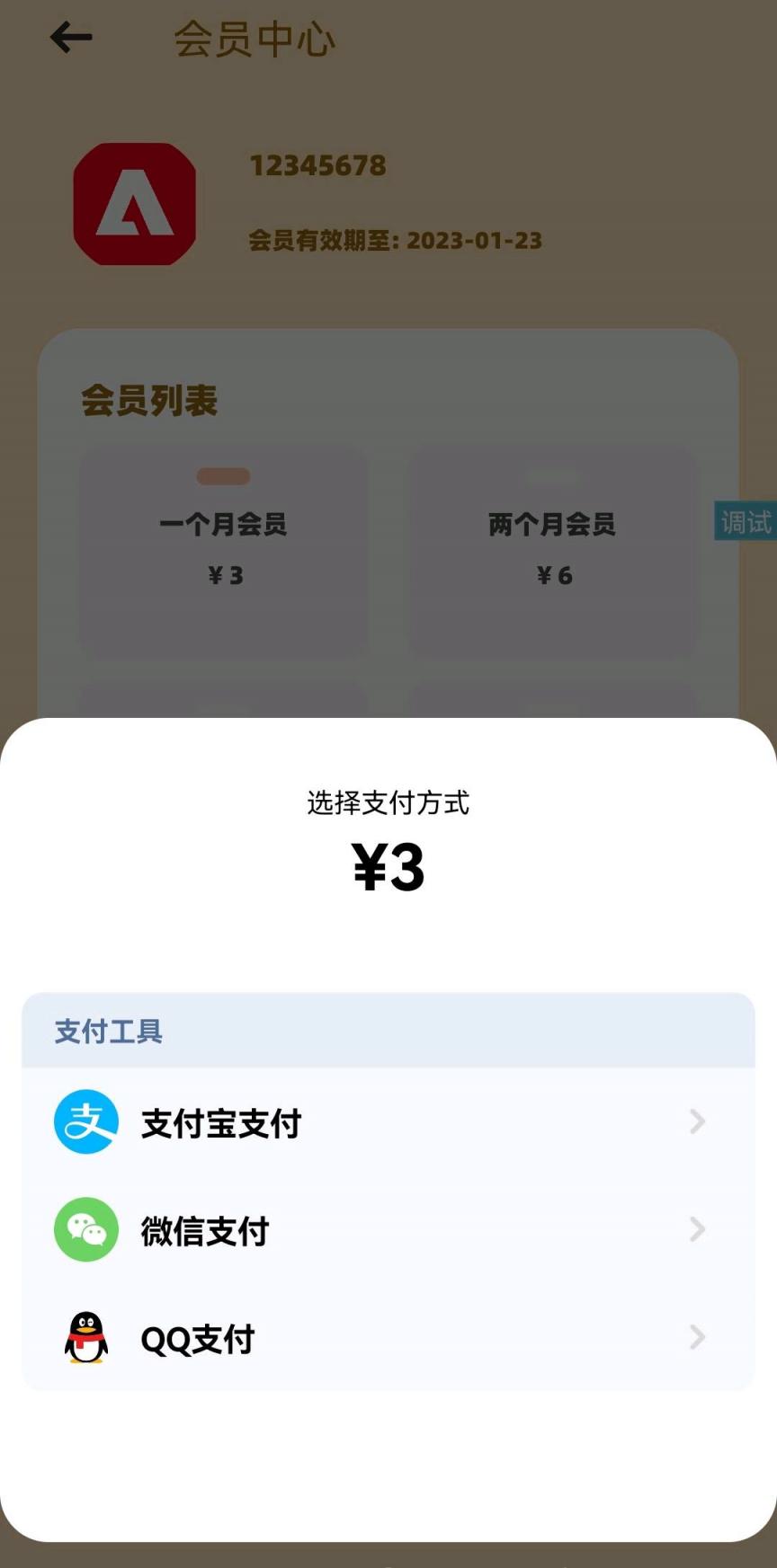 iapp易支付实现开通会员-煜龙论坛观天下