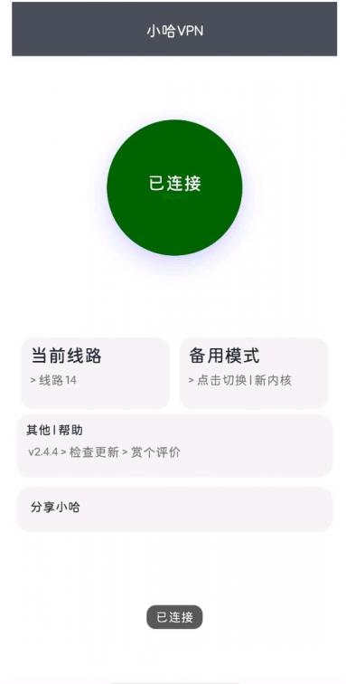 小哈VNP,速度很快，亲测好用-煜龙论坛观天下